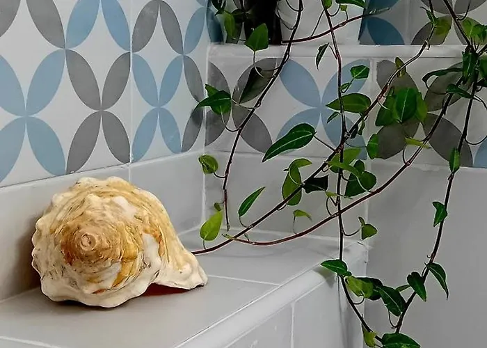 Apartamento Androniki *